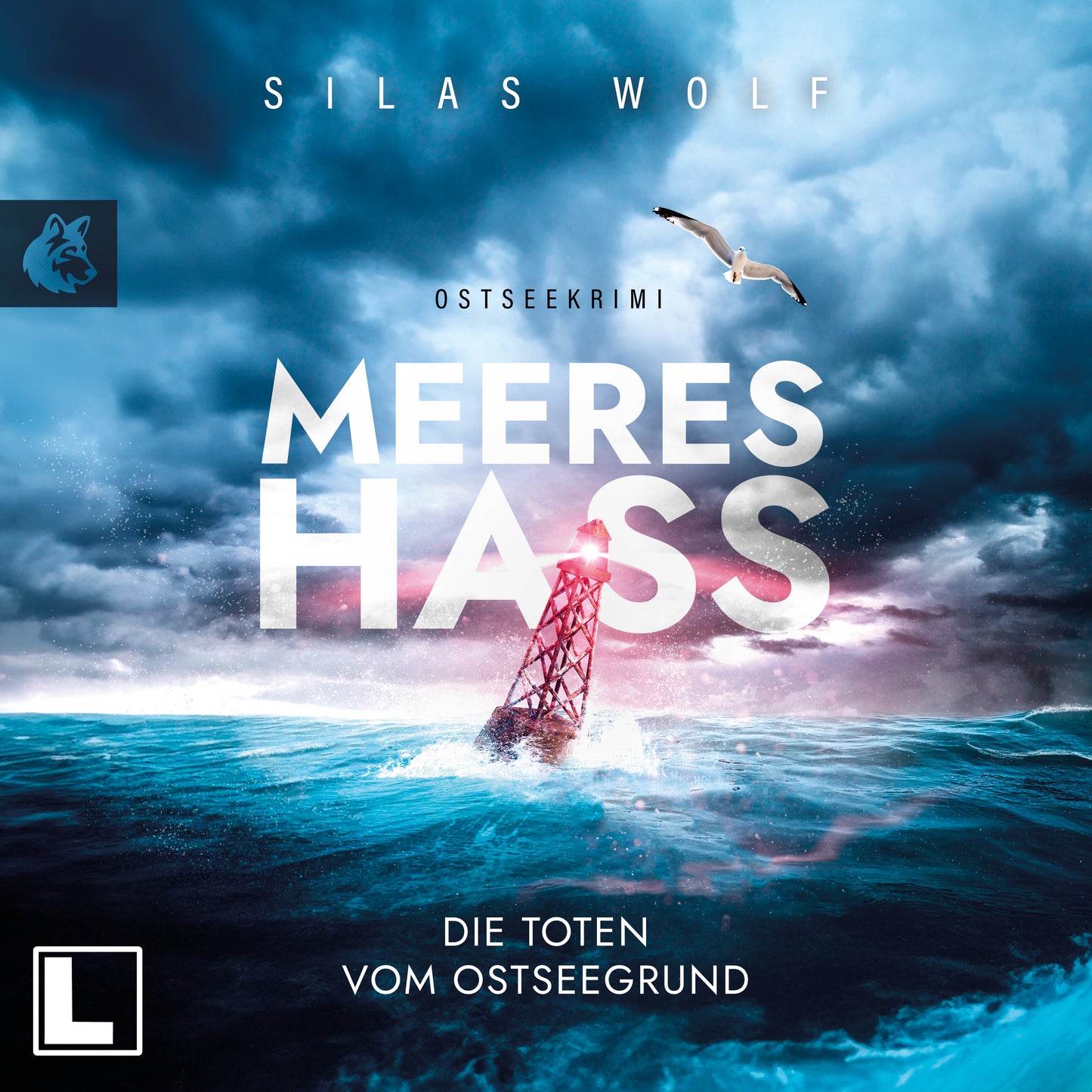 Meereshass: Die Toten vom Ostseegrund - Hörbuch