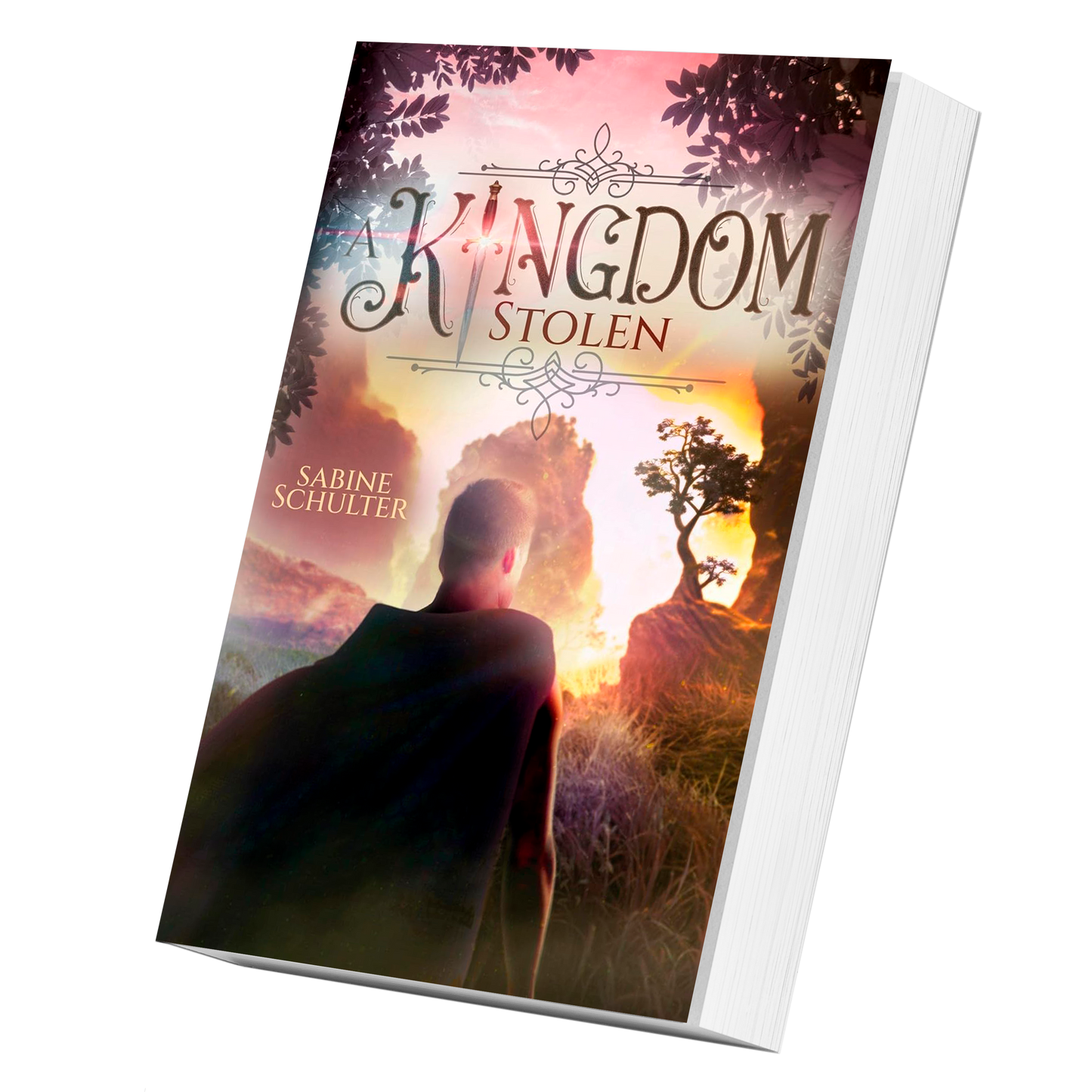 A Kingdom Stolen - Taschenbuch