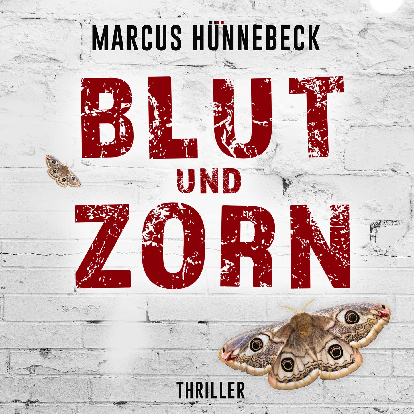 Blut und Zorn  - Hörbuch