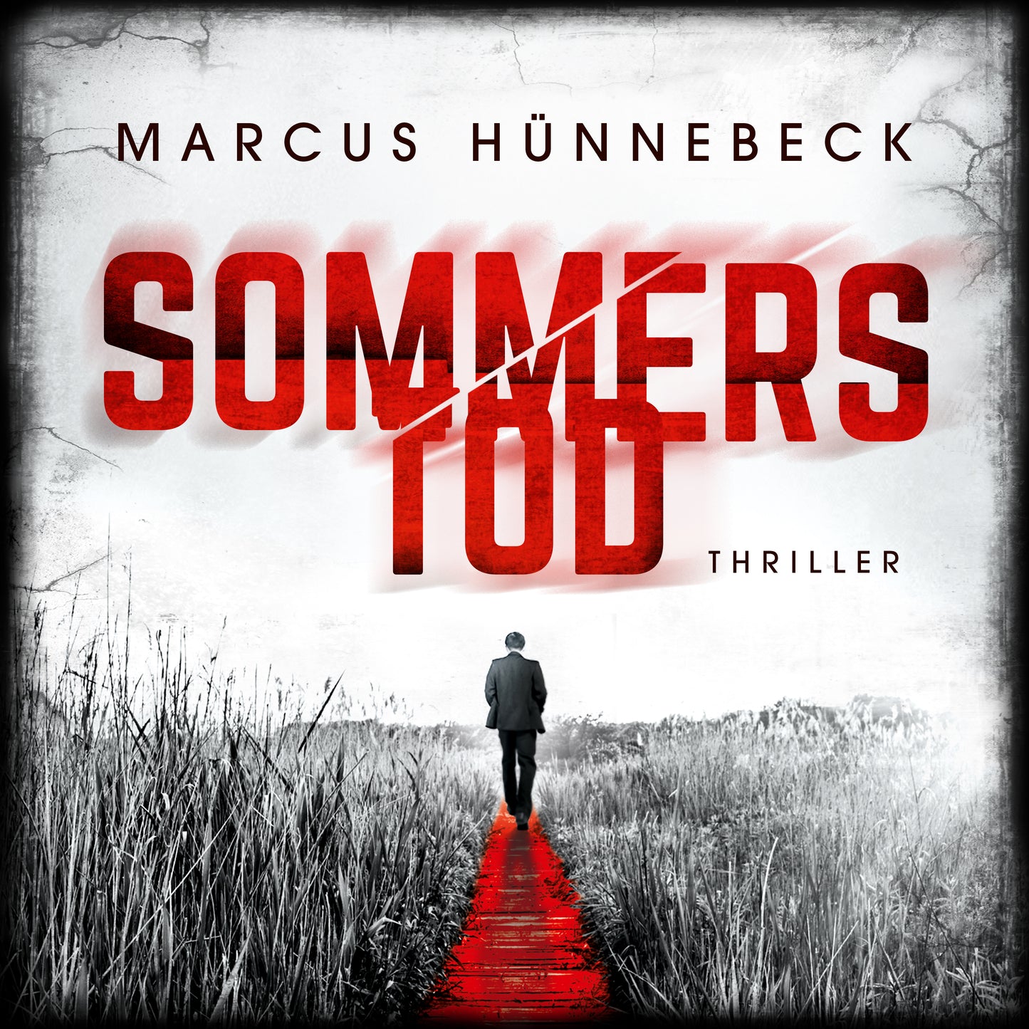 Sommers Tod - Hörbuch