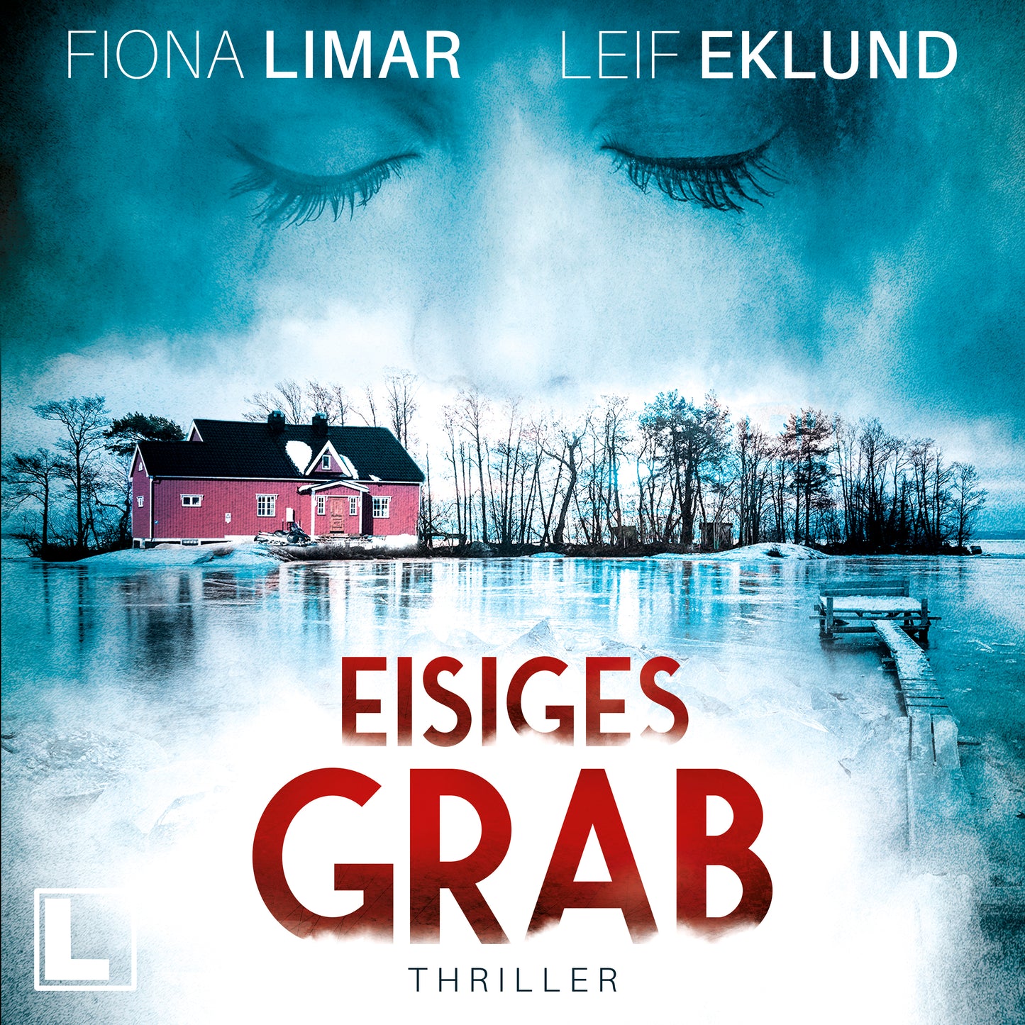 Eisiges Grab - Hörbuch