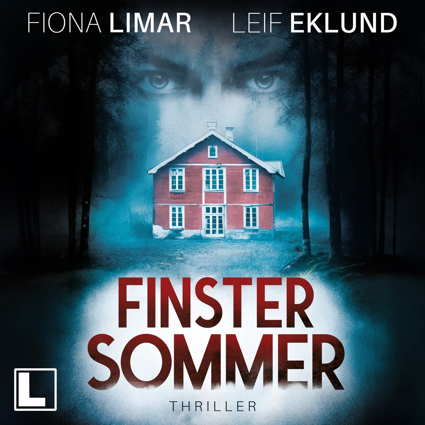 Finstersommer - Hörbuch