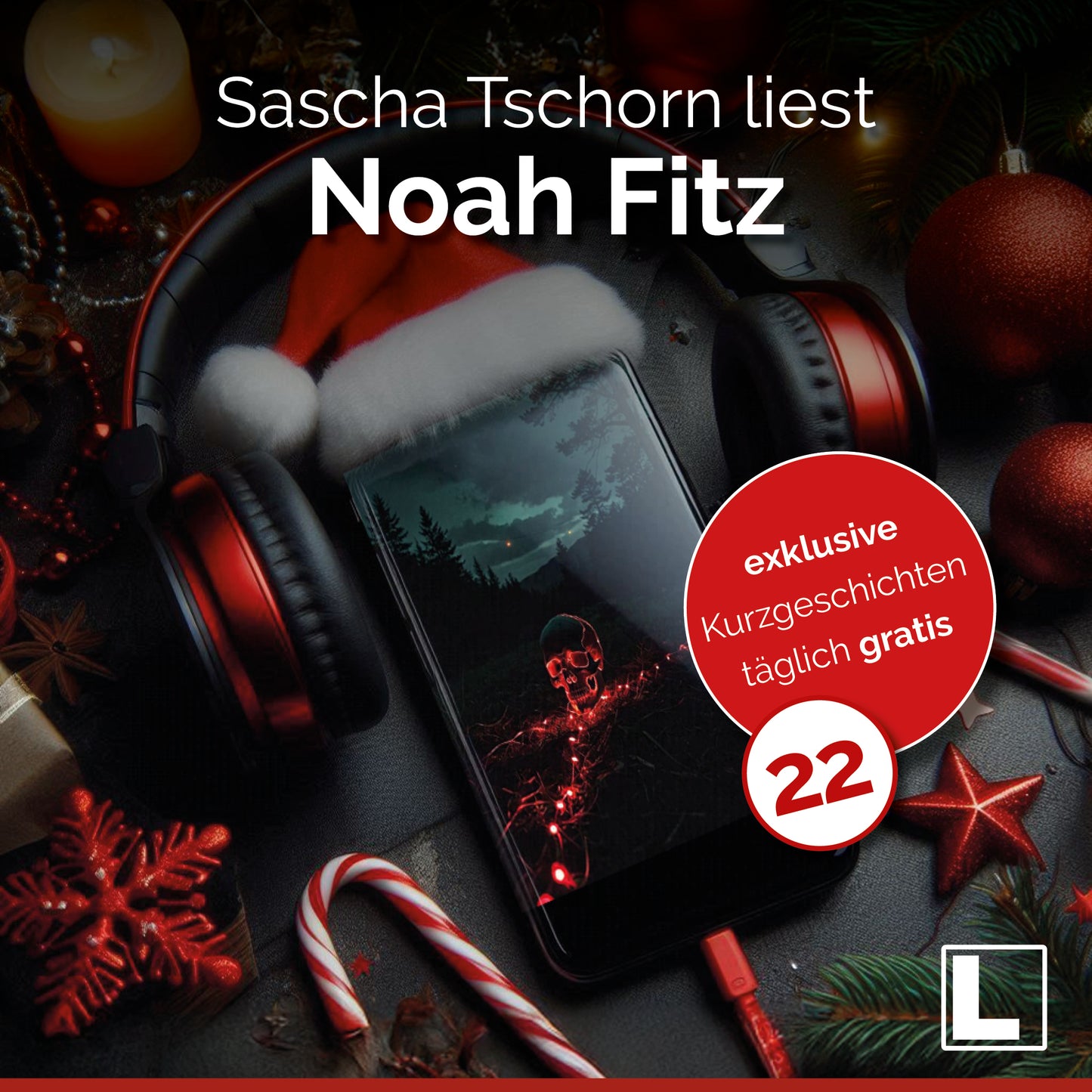 Adventskalender Türchen 22 - Noah Fitz